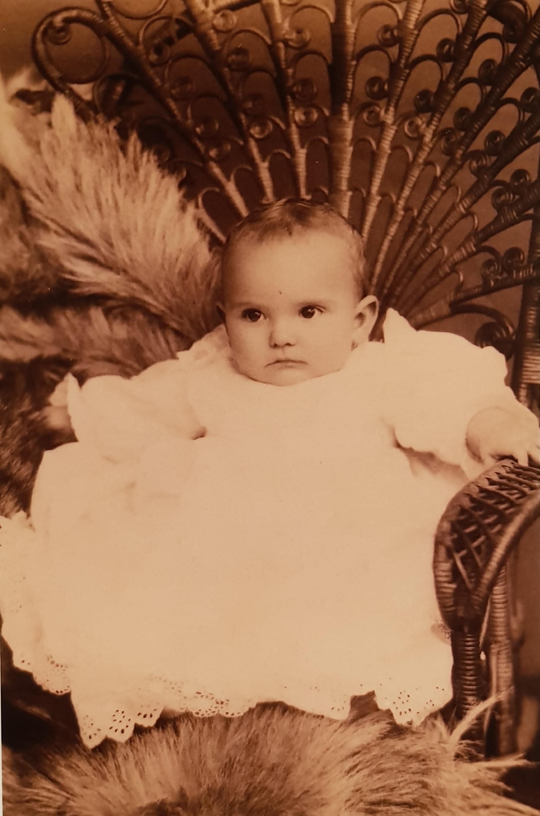 Anita Thomas Bishop Reed